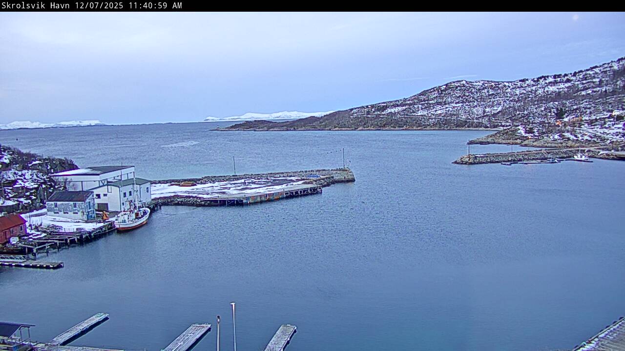 Webcam Skrolsvik, Tranøy, Troms, Norwegen